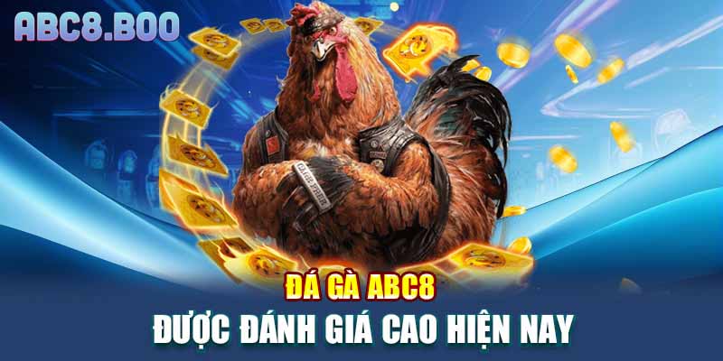 Đá gà ABC8 được đánh giá cao hiện nay